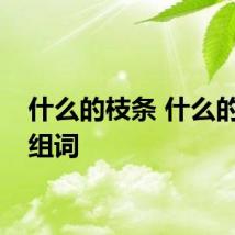 什么的枝条 什么的枝条组词