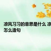 凉风习习的意思是什么 凉风习习怎么造句