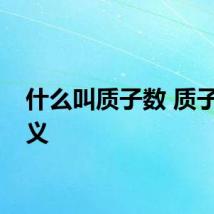 什么叫质子数 质子数定义