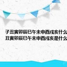 子丑寅卯辰巳午未申酉戌亥什么意思 子丑寅卯辰巳午未申酉戌亥是什么意思