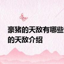 豪猪的天敌有哪些 豪猪的天敌介绍