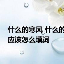 什么的寒风 什么的寒风应该怎么填词