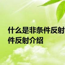 什么是非条件反射 非条件反射介绍
