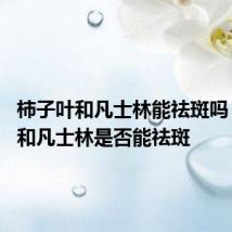 柿子叶和凡士林能祛斑吗 柿子叶和凡士林是否能祛斑