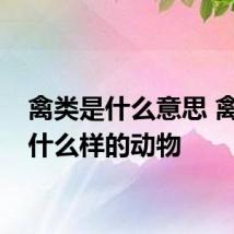 禽类是什么意思 禽类指什么样的动物