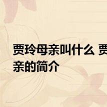 贾玲母亲叫什么 贾玲母亲的简介