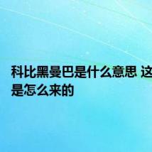 科比黑曼巴是什么意思 这个外号是怎么来的