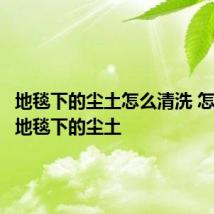 地毯下的尘土怎么清洗 怎么清洗地毯下的尘土