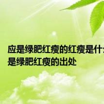 应是绿肥红瘦的红瘦是什么花 应是绿肥红瘦的出处