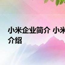小米企业简介 小米企业介绍