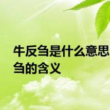牛反刍是什么意思 牛反刍的含义