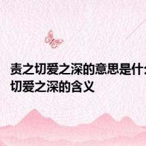 责之切爱之深的意思是什么 责之切爱之深的含义