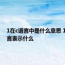 1在c语言中是什么意思 1在c语言表示什么