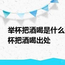 举杯把酒喝是什么歌 举杯把酒喝出处