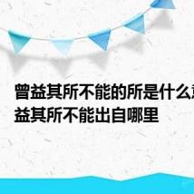 曾益其所不能的所是什么意思 曾益其所不能出自哪里
