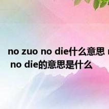no zuo no die什么意思 no zuo no die的意思是什么