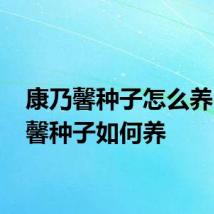 康乃馨种子怎么养 康乃馨种子如何养