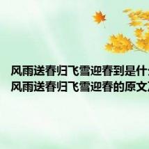 风雨送春归飞雪迎春到是什么意思 风雨送春归飞雪迎春的原文及翻译