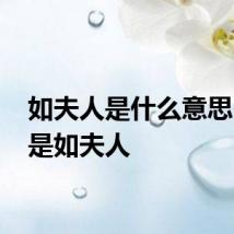 如夫人是什么意思 什么是如夫人