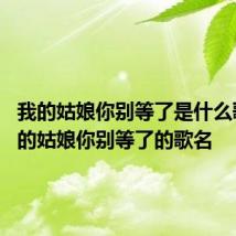 我的姑娘你别等了是什么歌曲 我的姑娘你别等了的歌名