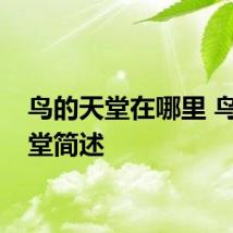 鸟的天堂在哪里 鸟的天堂简述
