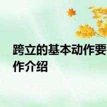 跨立的基本动作要领 动作介绍