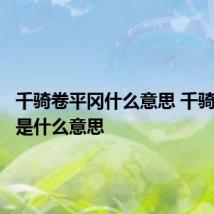 千骑卷平冈什么意思 千骑卷平冈是什么意思