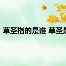 草圣指的是谁 草圣是谁
