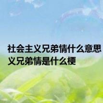 社会主义兄弟情什么意思 社会主义兄弟情是什么梗