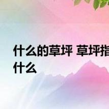 什么的草坪 草坪指的是什么