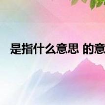 是指什么意思 的意思