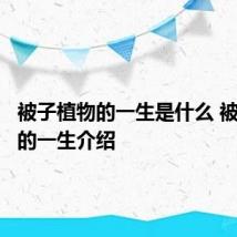 被子植物的一生是什么 被子植物的一生介绍