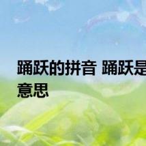 踊跃的拼音 踊跃是什么意思