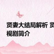 贤妻大结局解析 贤妻电视剧简介