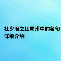 杜少府之任蜀州中的名句 这里有详细介绍