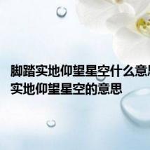 脚踏实地仰望星空什么意思 脚踏实地仰望星空的意思