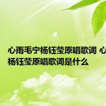 心雨毛宁杨钰莹原唱歌词 心雨毛宁杨钰莹原唱歌词是什么