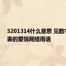 5201314什么意思 见数字所代表的爱情网络用语