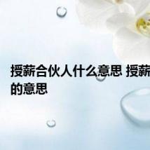 授薪合伙人什么意思 授薪合伙人的意思