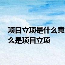 项目立项是什么意思 什么是项目立项