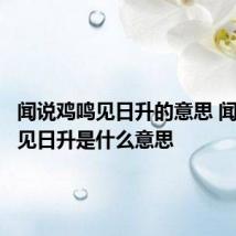 闻说鸡鸣见日升的意思 闻说鸡鸣见日升是什么意思