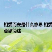 相委而去是什么意思 相委而去的意思简述