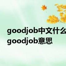 goodjob中文什么意思 goodjob意思