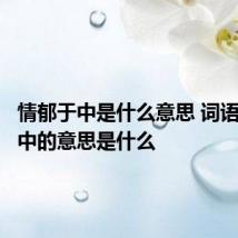 情郁于中是什么意思 词语情郁于中的意思是什么
