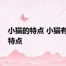 小猫的特点 小猫有什么特点