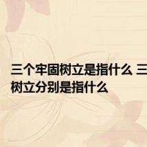三个牢固树立是指什么 三个牢固树立分别是指什么