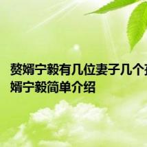 赘婿宁毅有几位妻子几个孩子 赘婿宁毅简单介绍