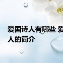 爱国诗人有哪些 爱国诗人的简介
