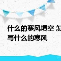 什么的寒风填空 怎么填写什么的寒风