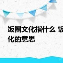 饭圈文化指什么 饭圈文化的意思